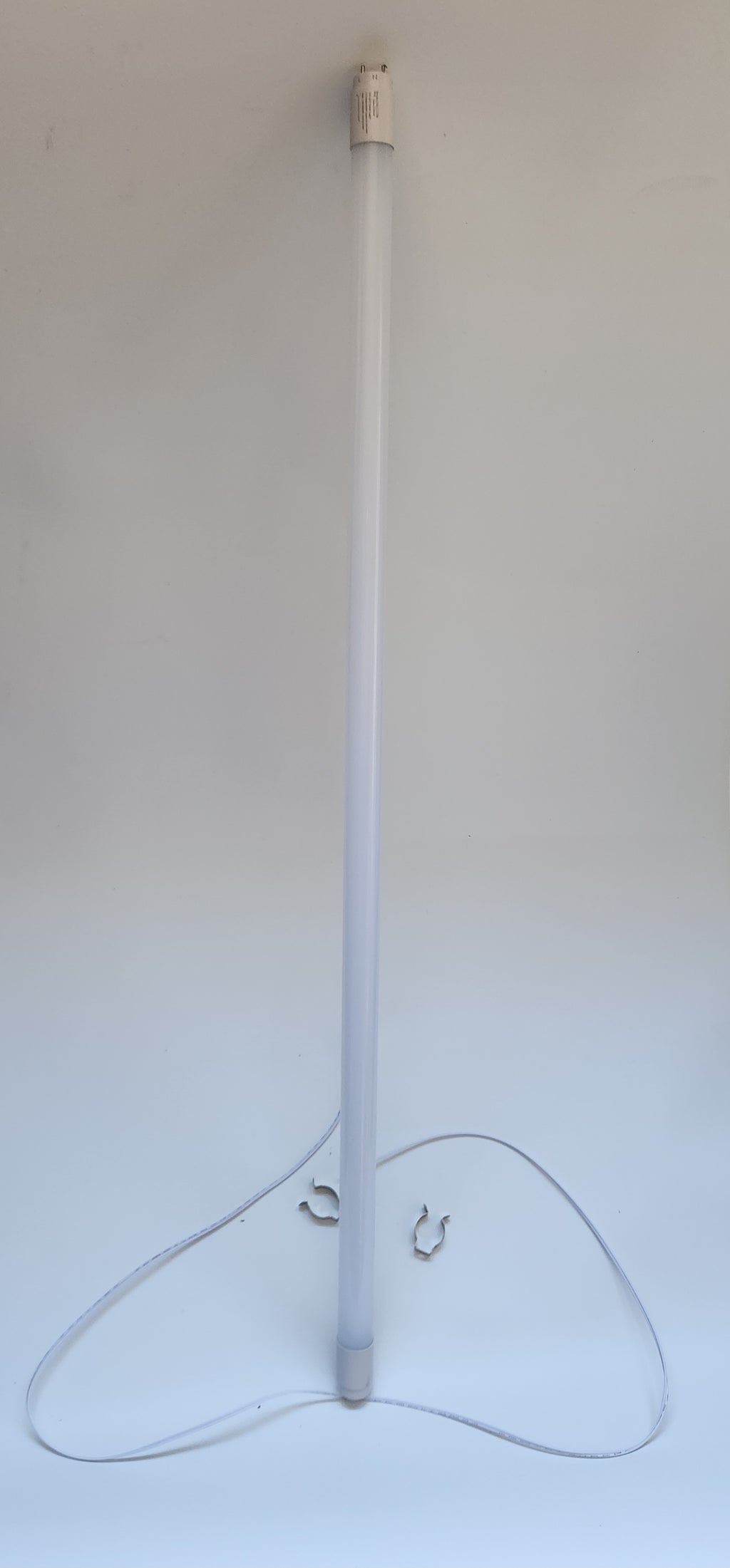 T8 LED Tube Light – 6500K Daylight | 2ft - 5ft